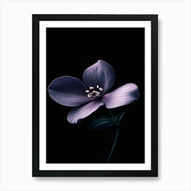 Purple Flower 5 Art Print