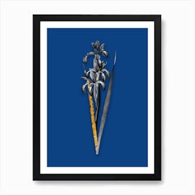 Vintage Blue Iris Black and White Gold Leaf Floral Art on Midnight Blue n.0502 Art Print