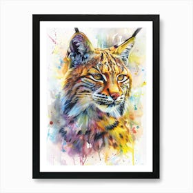 Bobcat Colourful Watercolour 2 Art Print