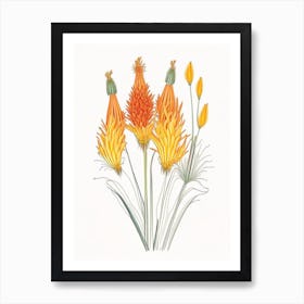 Kniphofia Floral Quentin Blake Inspired Illustration 1 Flower Art Print