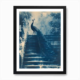 Peacock Feathers On Steps Cyanotype Inspired Art Print