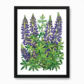 Lupine 4 Affiche