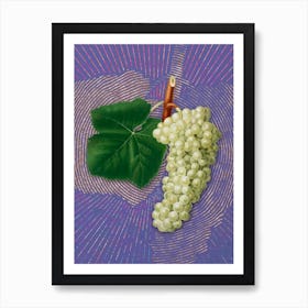 Vintage White Grape Botanical Illustration on Veri Peri n.0071 Art Print