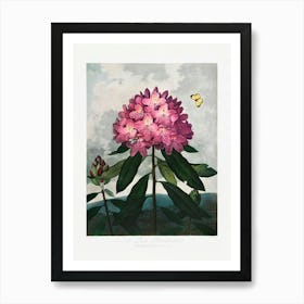 Vintage Botanical Temple Of Flora _2476842 Art Print