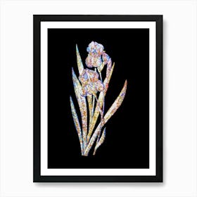 Stained Glass German Iris Mosaic Botanical Illustration on Black n.0201 Art Print