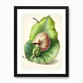 Garden Snail On A Leaf Botanical Art Print