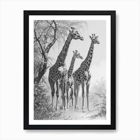 Herd Of Giraffe By The Tree 3 Art Print