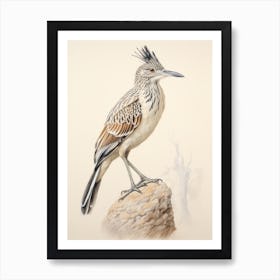 Vintage Bird Drawing Roadrunner 2 Art Print