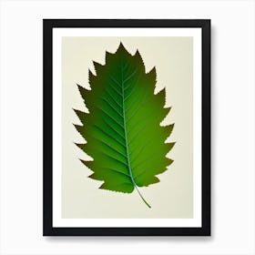 Elm Leaf Vibrant Inspired 2 Art Print