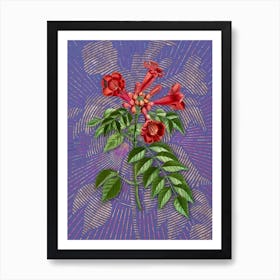 Vintage Trumpet Vine Botanical Illustration on Veri Peri Art Print