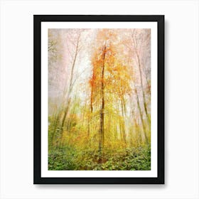 Autumn Thicket Art Print