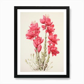 Vintage Cactus Illustration Ladyfinger Cactus 2 Art Print