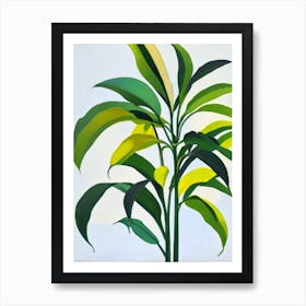 Schefflera Bold Graphic Plant Art Print