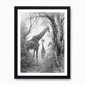 Giraffes In The Wild Pencil Portrait 1 Art Print