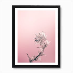 Thistle Art Print