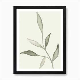 Thin Green Leaves Art Print