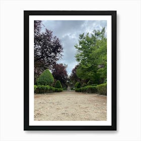 Path In A Garden 1 Art Print