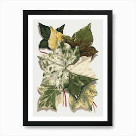 Ivy Leaves 1 Art Print