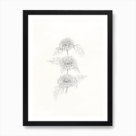 Chrysanthemums Pencil Drawing Sketch Art Print