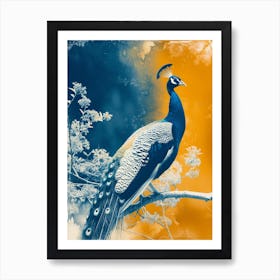 Vintage Photo Of Orange & Blue Peacock  2 Art Print