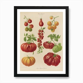 Tomatoes And Grapes Art Print