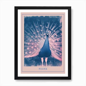 Pink & Blue Peacock Feathers Poster Art Print