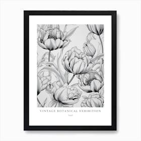 Tulip B&W Vintage Botanical Poster Art Print