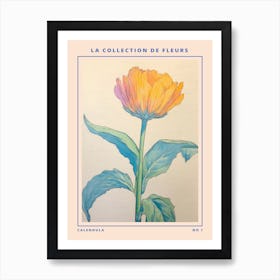 Calendula French Flower Botanical Poster Art Print