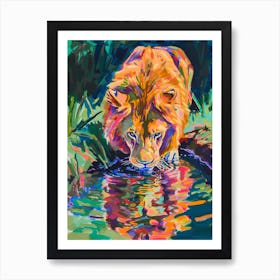 Southwest African Lion Drinking From A Watering Hole Fauvist Painting 1 Art Print