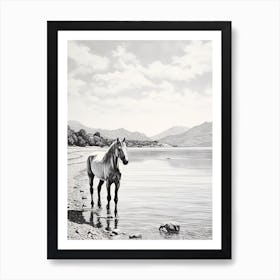 A Horse Oil Painting In Zlatni Rat, Croatia, Portrait 4 Art Print