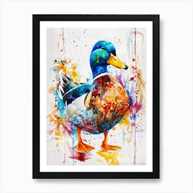 Duck Colourful Watercolour 1 Art Print