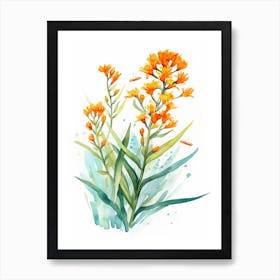 Butterfly Weed Wildflower In Watercolor  (2) Art Print