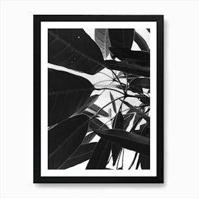 Black And White Leaves 2 Art Print