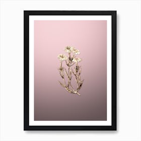 Gold Botanical Prince Bisignano's Tree Pink on Rose Quartz Art Print