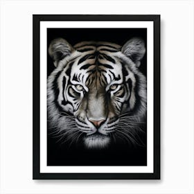 Wild 8 Art Print