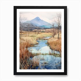 Killarney National Park Ireland 5 Copy Art Print