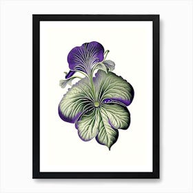 Sweet Violet Leaf Vintage Botanical 3 Art Print