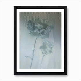 Carnations  Art Print