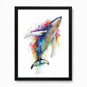 Humpback Whale Colourful Watercolour 1 Art Print