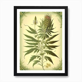 Hemp Herb Vintage Botanical Art Print