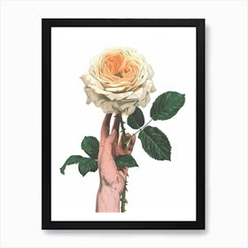 English Roses Painting Rose In A Hand 4 Art Print