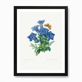 Gentiana Acaulis, Pierre Joseph Redouté Art Print