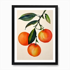 Orange Watercolour Fruit Painting Fruit Art Print
