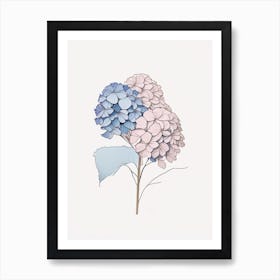 Hydrangea Floral Minimal Line Drawing 1 Flower Art Print