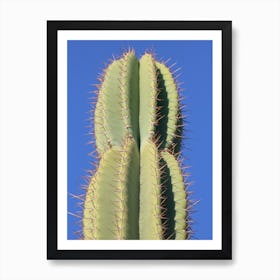 Green Cactus Art Print