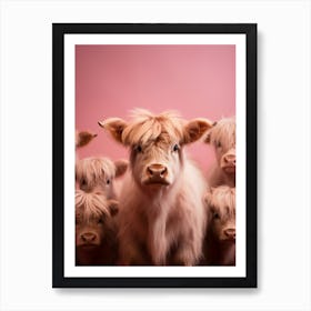 Pink Portrait Of Baby Highland Cows Art Print