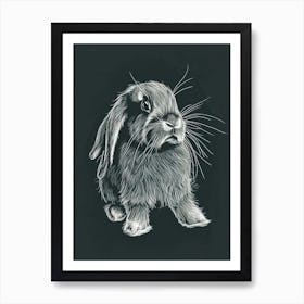 Mini Lop Rabbit Minimalist Illustration 2 Art Print