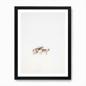Reindeer In The Snow | Minimal Winter art | Lapland | Sweden | Art Print