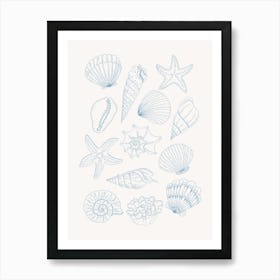 Shells Art Print