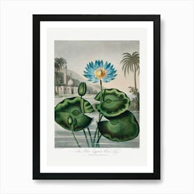 Vintage Botanical Temple Of Flora _2476831 Art Print